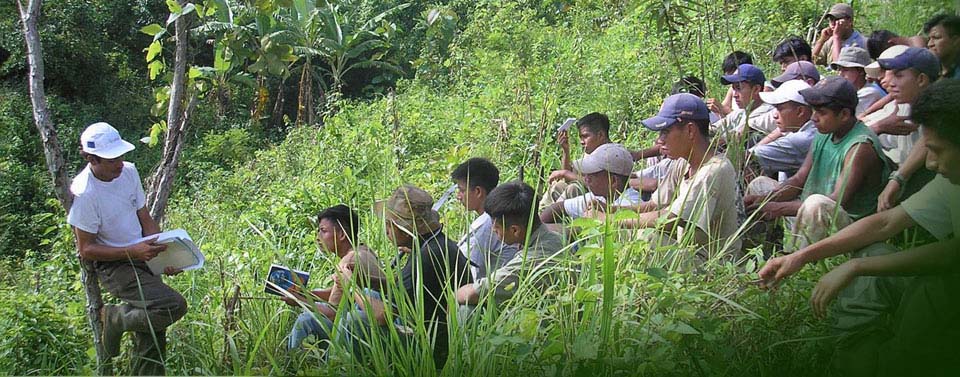 Vinaora Nivo Slider 3.x