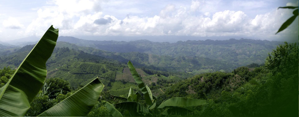 Vinaora Nivo Slider 3.x