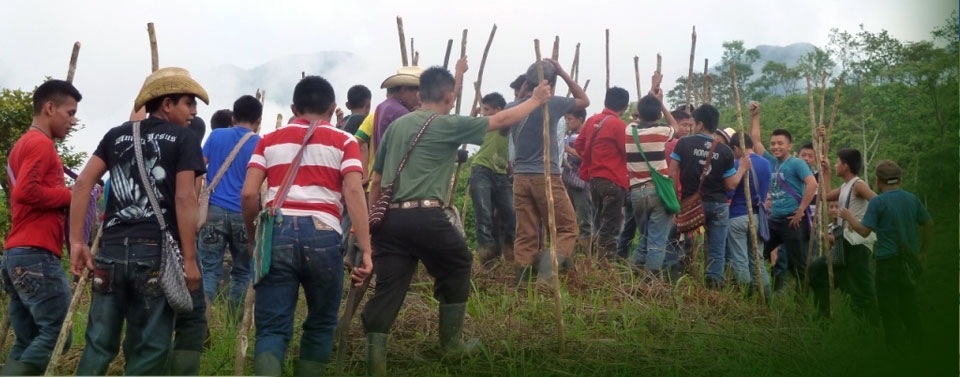 Vinaora Nivo Slider 3.x